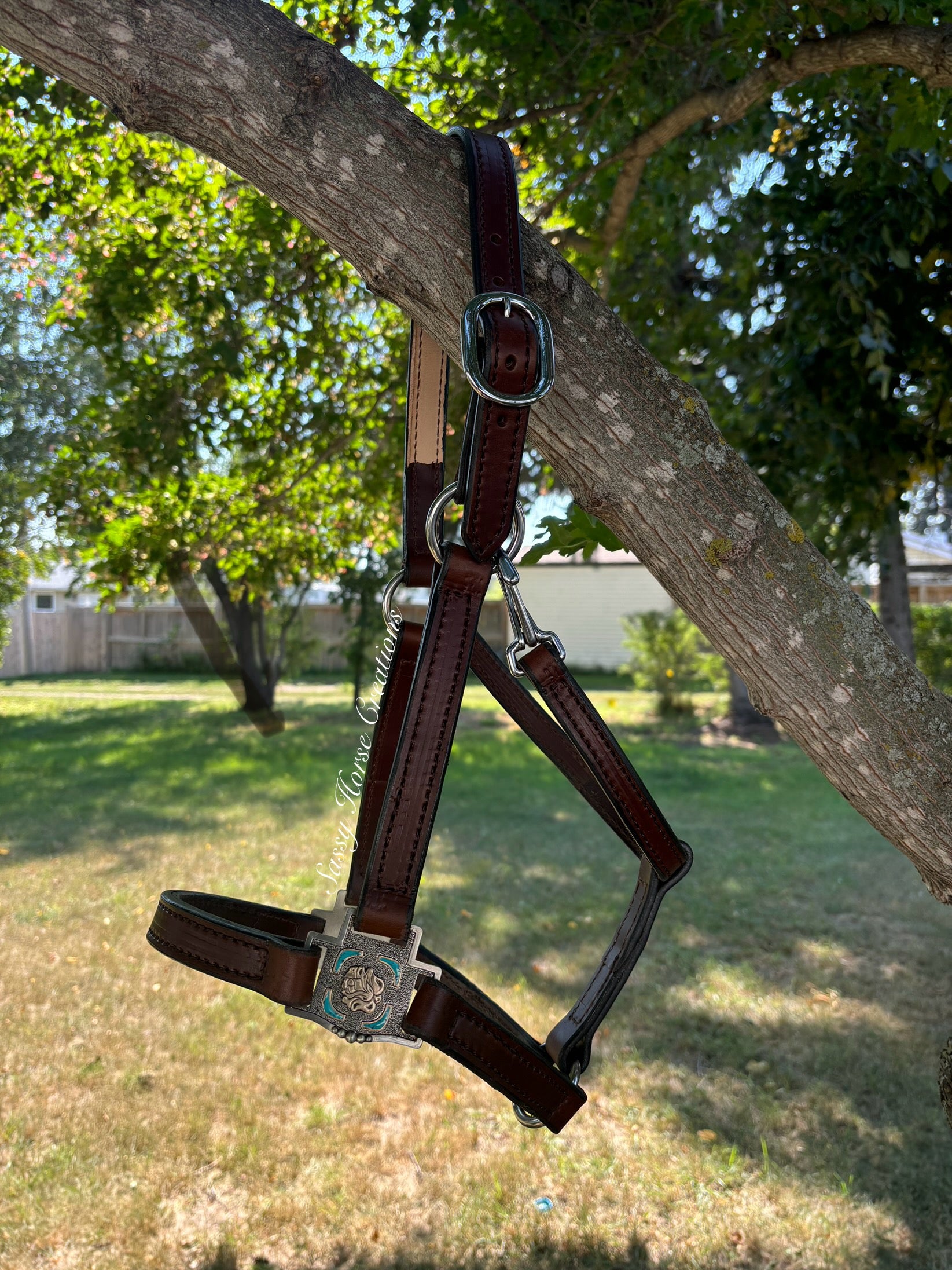 Desert Rose Leather Halter