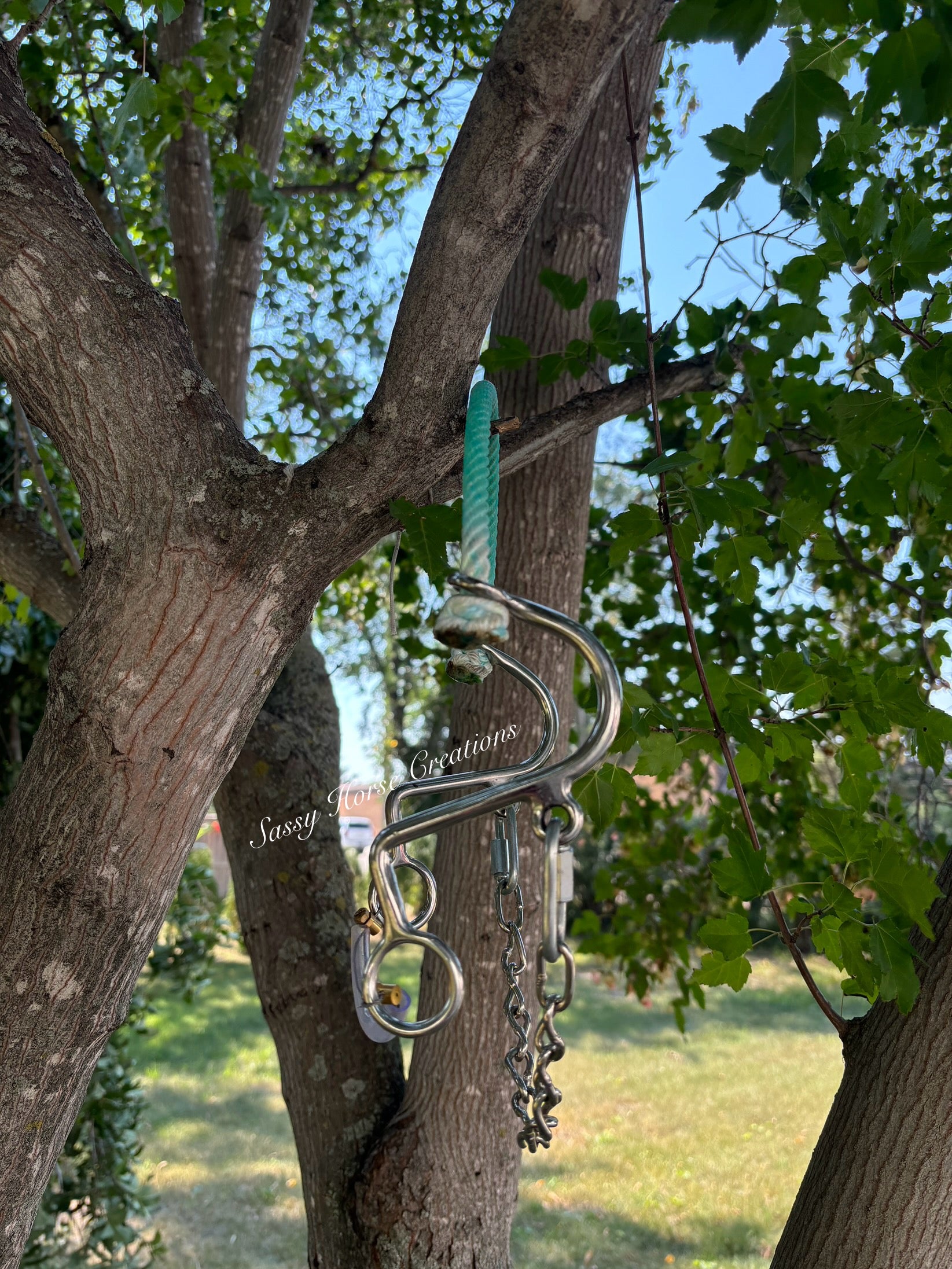 Turquoise Lariat S Hack
