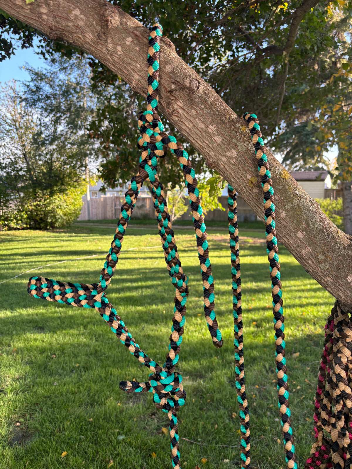 Southwest Mule Tape Halter