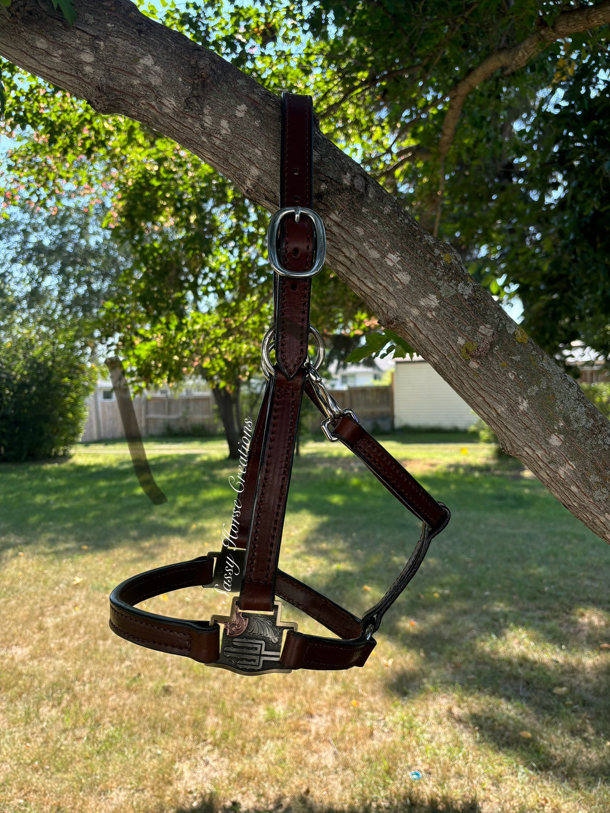 Cactus Leather Halter