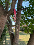 Pink Lariat S Hack