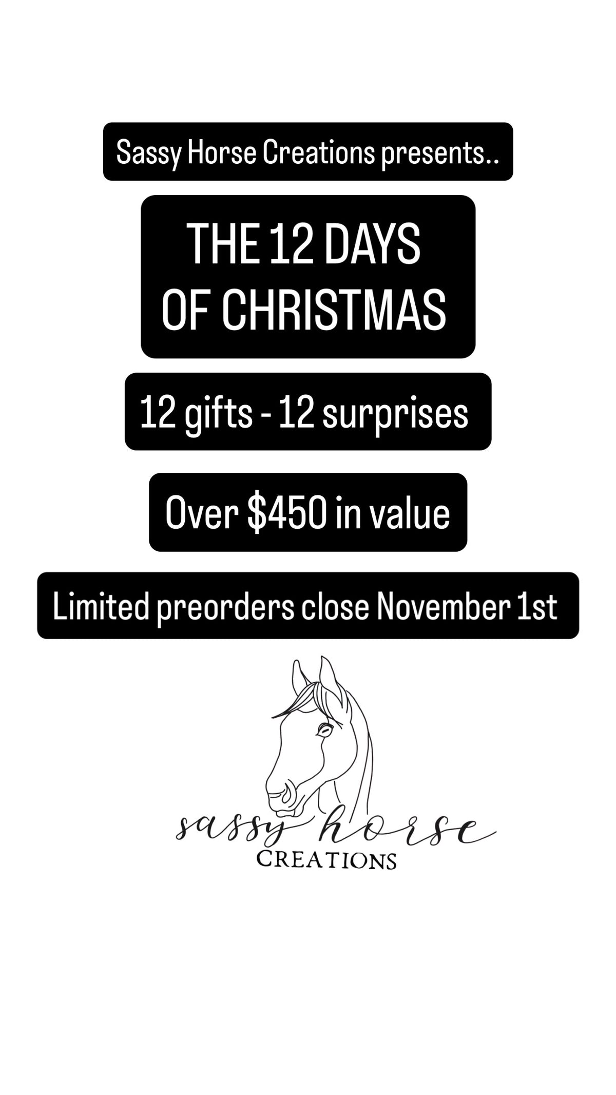 SHC 12 Days of Christmas Mystery Box